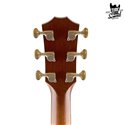 Taylor K24ce V-Class Shaded Edgeburst