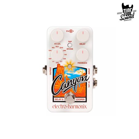 Electro Harmonix Canyon Delay & Looper