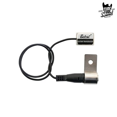 Leem EGT-101 Pastilla de Contacto