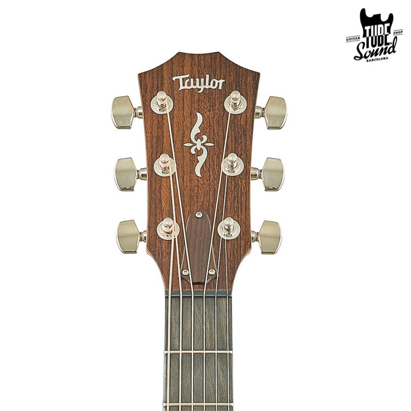 Taylor 414ce-R V-Class Natural
