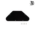Gibson PRCP-020 SG Control Plate Black