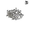 Fender Pickguard Control Plate Mounting Screws