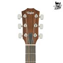 Taylor Academy 12 Natural