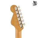 Fender Parlor Highway RW Natural
