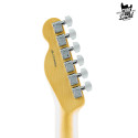 Fender Telecaster American Professional II MN Sienna Sunburst