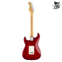 Fender Stratocaster Player II RW Transparent Cherry Burst