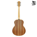Taylor GS Mini Sapele