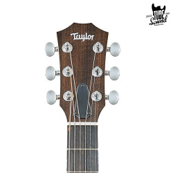Taylor GS Mini Sapele