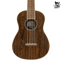 Fender Zuma Exotic Concert Ukelele WN Bocote