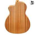Taylor 14ce Sapele