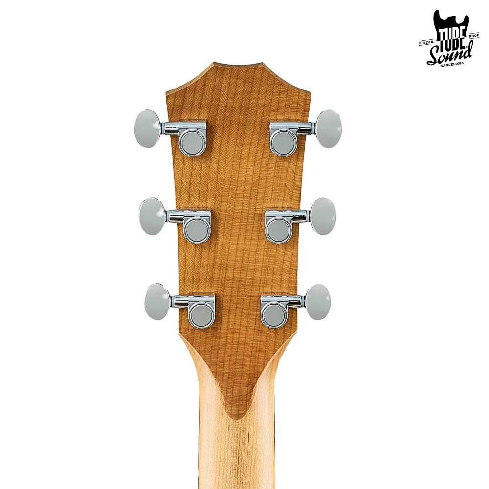 Taylor 14ce Sapele