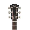 Taylor 414ce Studio Natural