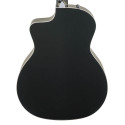 Taylor 214ce BLK Plus