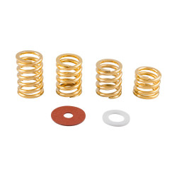 Fender Bigsby Spring & Washer Pack Gold