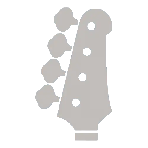 Custom Shop