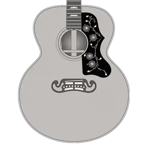 Custom Shop